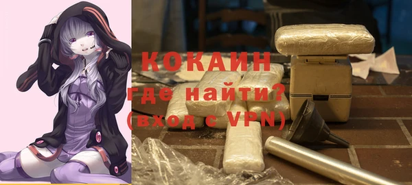 шишки Заволжье