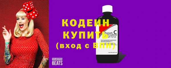 не бодяженный Заводоуковск