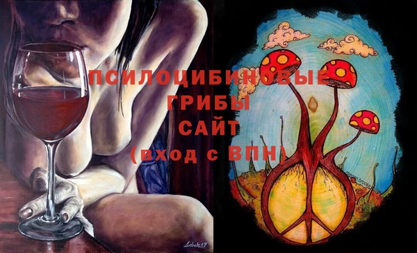 шишки Заволжье