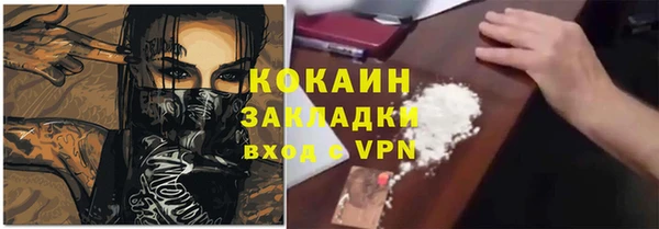 шишки Заволжье