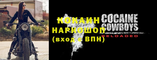 шишки Заволжье