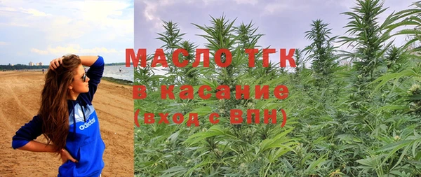 шишки Заволжье
