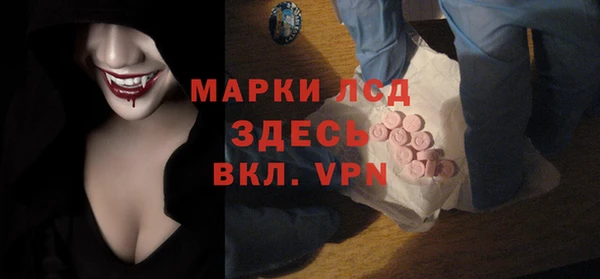шишки Заволжье