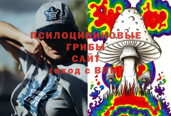 не бодяженный Заводоуковск