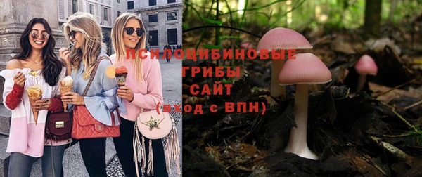 шишки Заволжье