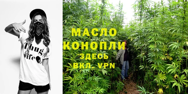 шишки Заволжье