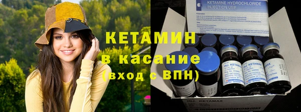 шишки Заволжье