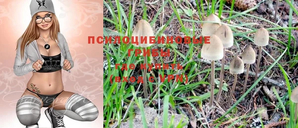 шишки Заволжье