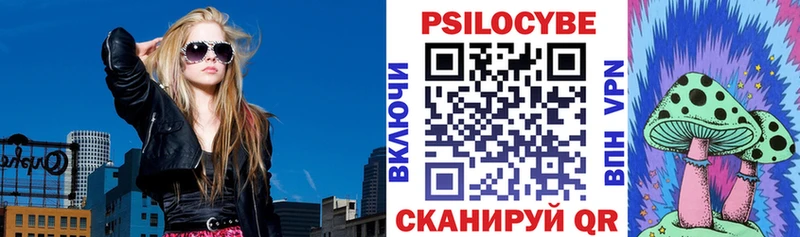 Псилоцибиновые грибы GOLDEN TEACHER  Купить закладки  Южа 